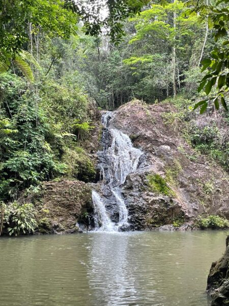 Do you like nature and learning from it? On this tour you can learn all the step from planting to preparing coffee and a pineapple dessert and even making your own handmade soap. It will end with a delicious lunch and a swim in a waterfall.